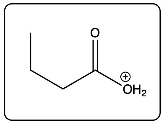 Structure of the butanoic acid ionized in a basic solution with a positive charge.