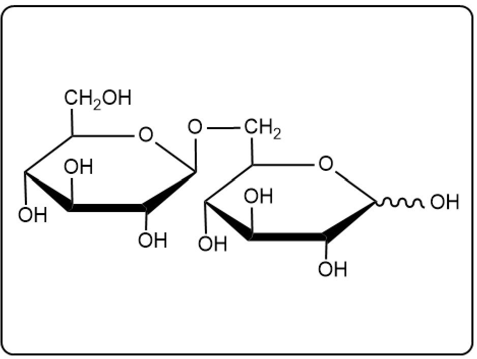 Detailed structure of gentobiose, highlighting the β(1→6) linkages between glucose units.