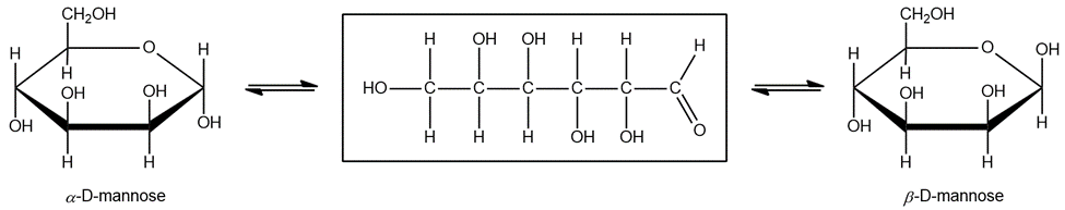 Mutarotation reaction of D-mannose with a missing structure between alpha and beta forms.