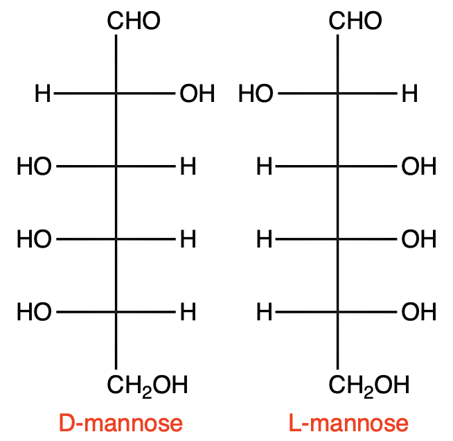 Fischer projections of D-mannose and L-mannose for carbohydrates chapter.