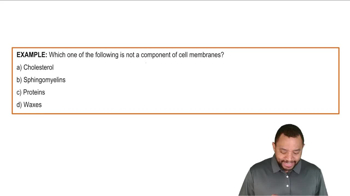 Cell Membranes Example 1