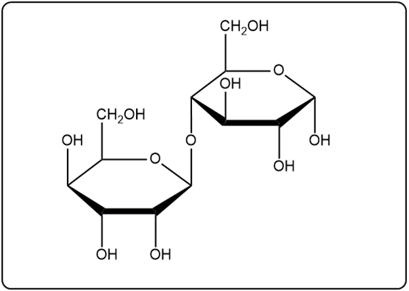 A different representation of the hypothetical disaccharide structure.