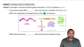 Introduction to Translation Concept 1