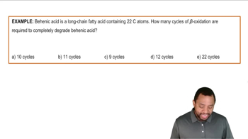 Oxidation of Fatty Acids Example 4