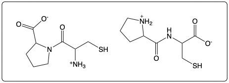 Dipeptide structure featuring proline and serine with a thiol group.