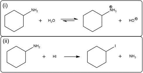 Chemical equations for cyclohexanamine reactions with water and HI.