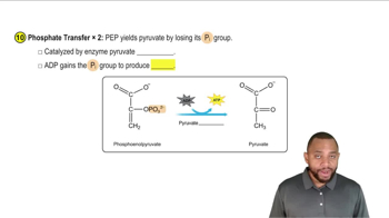 Glycolysis Concept 11