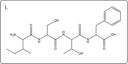 Line-angle structure of isoleucylthreonylserinylphenylalanine for educational purposes.