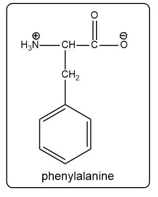 Zwitterion structure of phenylalanine showing positive and negative charges.