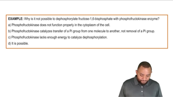 Gluconeogenesis Example 3