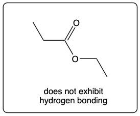 Structure of ethyl propionate showing no hydrogen bonding.