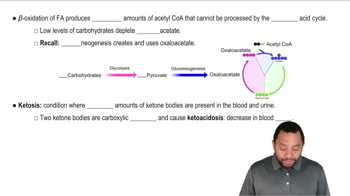 Ketone Bodies Concept 3