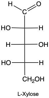 L-Xylose