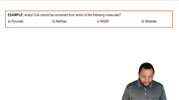 Summary of Lipid Metabolism Example 1