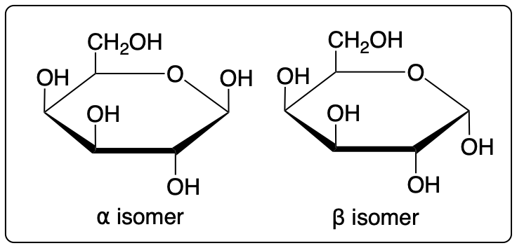 Haworth structures of ⍺ and β isomers of D-gulose in cyclic form.