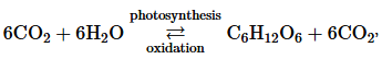 Chemical equation illustrating the cycle of photosynthesis and oxidation with reactants and products labeled.