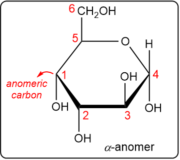 Cyclic structure showing carbon numbering and anomeric carbon for alpha anomer.