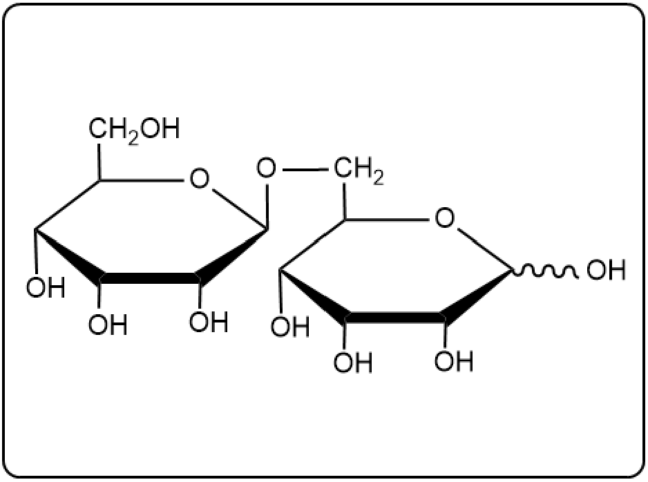 Another view of gentobiose structure, showing its glucose units and linkages.