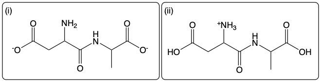 Dipeptide Asp-Ala structure at low pH with ionized groups.