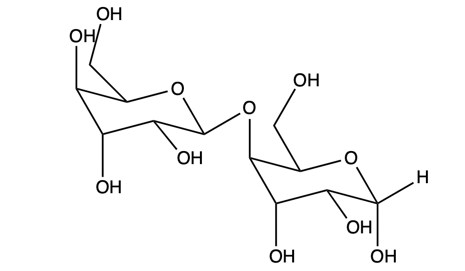 Disaccharide structure showing two cyclic D-galactose units linked by a glycosidic bond.