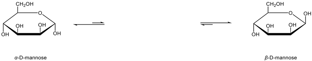 Haworth projections of alpha and beta D-mannose interconverting through mutarotation with double-headed arrows.