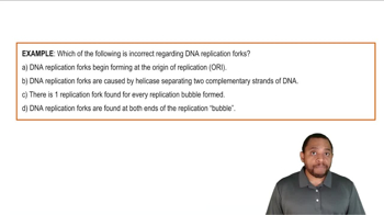 Intro to DNA Replication Example 2