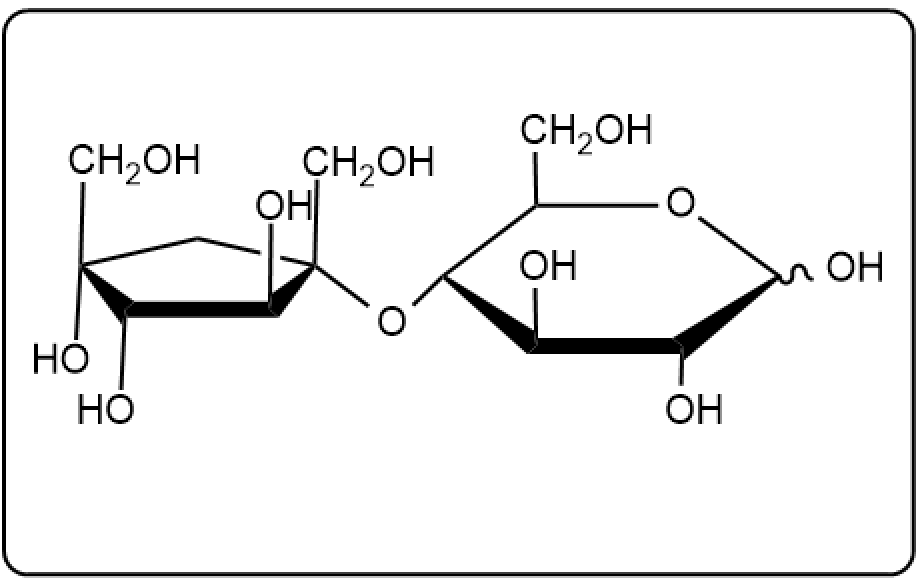 Diagram of a disaccharide structure featuring glucose and fructose linked by a glycosidic bond.