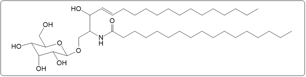 Chemical structure of a cerebroside with D-glucose, sphingosine, and stearic acid.