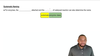 Systematic Naming Concept 2