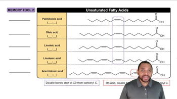 Fatty Acids Concept 6