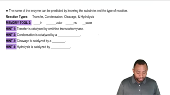 The Urea Cycle Concept 9