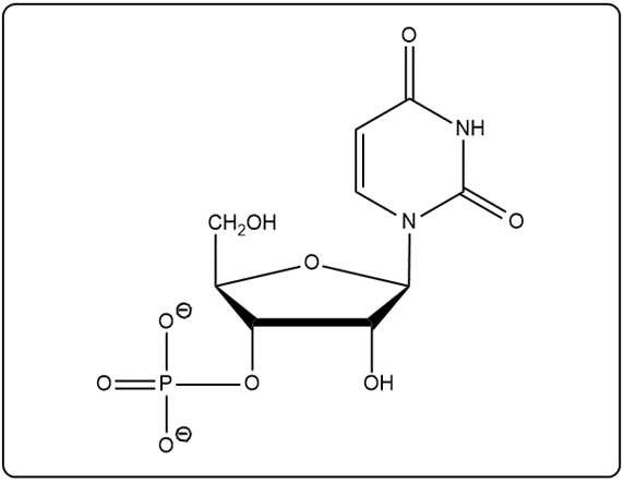 Chemical structure of a nucleotide with sugar, phosphate, and base components.