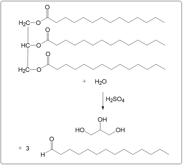 Chemical reaction for acid hydrolysis of glyceryl tripalmitate with water and sulfuric acid.