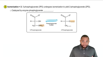 Glycolysis Concept 9