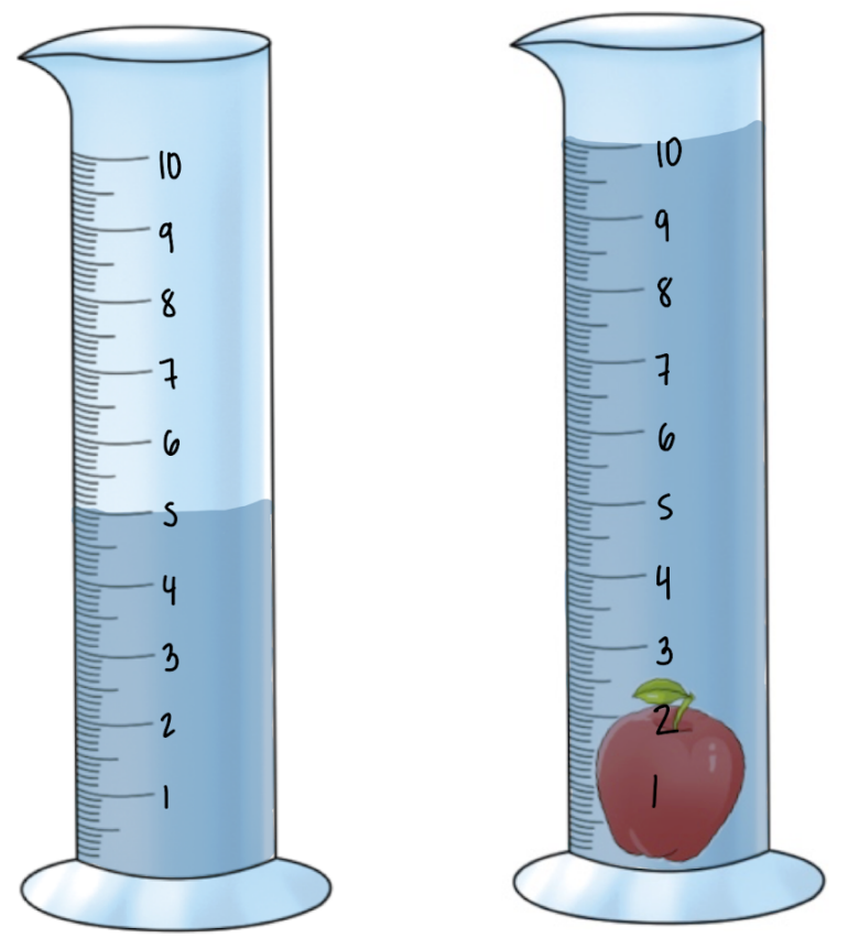 Two graduated cylinders showing water levels at 5 mL and 10 mL with an apple submerged in the second cylinder.