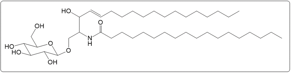 Chemical structure of a cerebroside with D-glucose, sphingosine, and stearic acid.