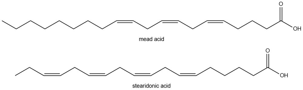 Skeletal structures of mead acid and stearidonic acid for fatty acid study.