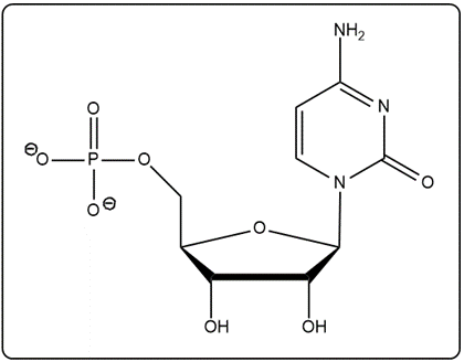 Chemical structure of UMP showing uracil, ribose, and phosphate group.