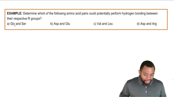 Secondary Protein Structure Example 1