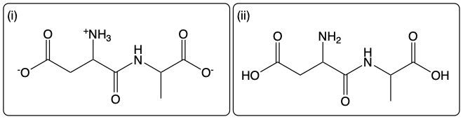 Dipeptide Asp-Ala structure at high pH with ionized groups.