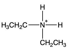 ammonium ion