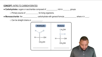 Intro to Carbohydrates Concept 1