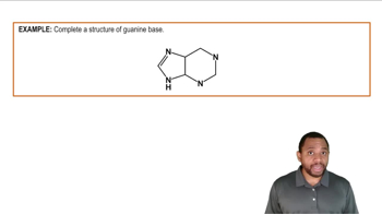 Nitrogenous Bases Example 3