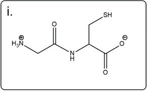 Line-angle structure of glycylserine with a thiol group.