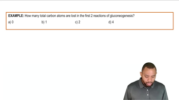 Gluconeogenesis Example 1