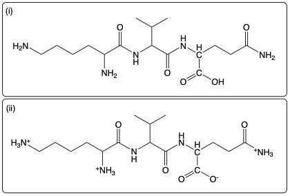 Tripeptide Lys-Val-Gln structure at low pH with ionized groups.