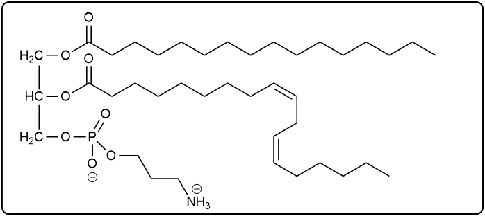 Phosphoglyceride structure with palmitic acid, linoleic acid, and propanolamine phosphate group.