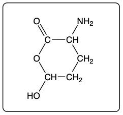 Lactone structure featuring hydroxyl and amine groups in a cyclic configuration.