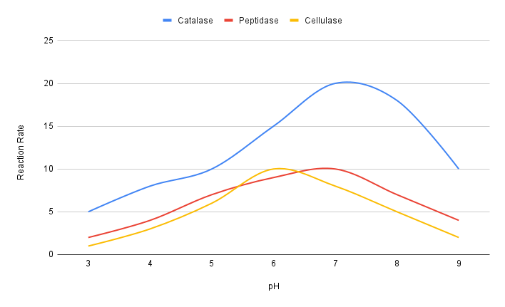 Graph showing enzyme activity vs pH for catalase, peptidase, and cellulase.