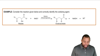 Coenzymes in Metabolism Example 1